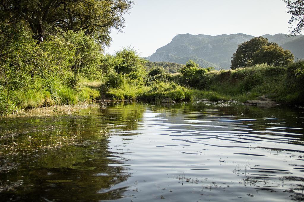 Gospodarstwo agroturystyczne Tambor Del Llano Grazalema